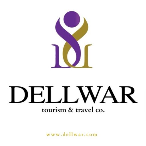 Dellwar Logo